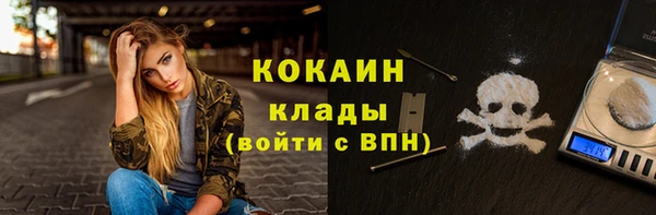 гидра Алексин