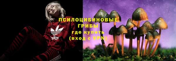 таблы Алексеевка