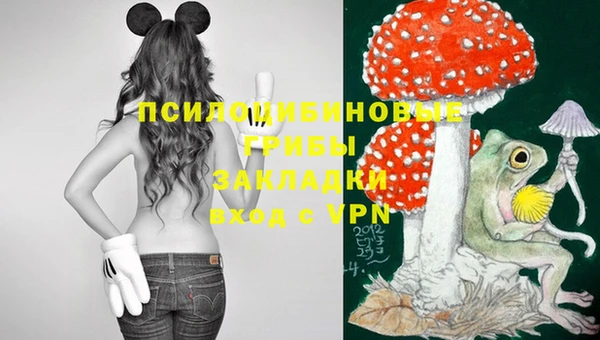 дурь Алзамай