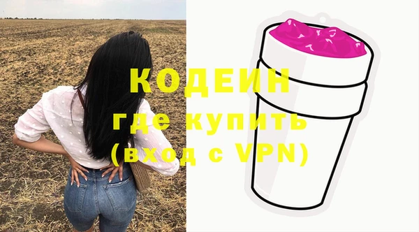 дурь Алзамай